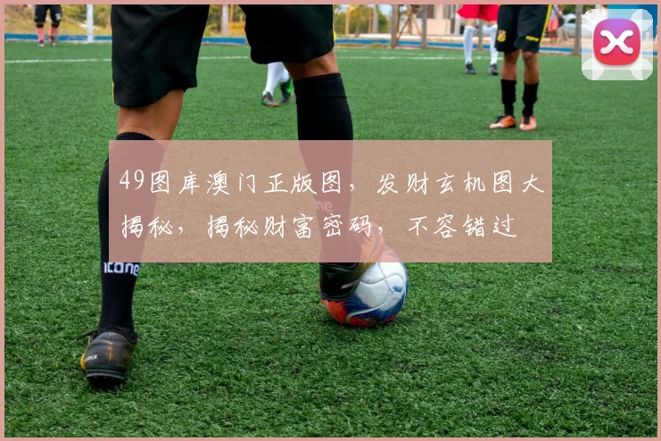 49图库澳门正版图，发财玄机图大揭秘，揭秘财富密码，不容错过