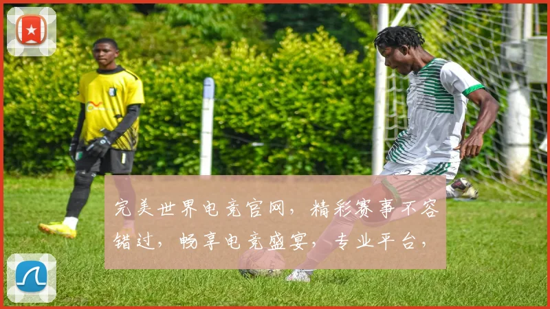 完美世界电竞官网，精彩赛事不容错过，畅享电竞盛宴，专业平台，等你来战